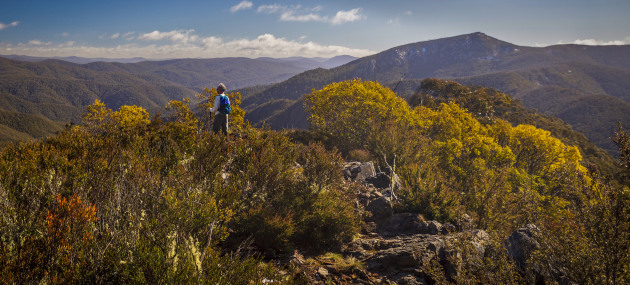 From the picturesque summit of Mt Domain there remains a good deal of work to do to reach Tidbinbilla Mountain viewed in the distance.