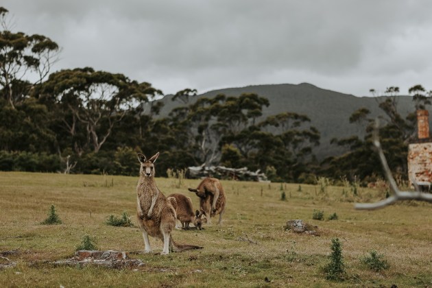 Friendly locals. Image supplied