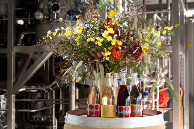 TWE and Endeavour Group have released a new-to-market low-alc brand, Sorbet.
Source: TWE