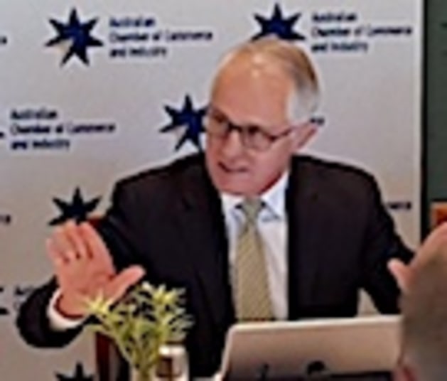turnbull 135