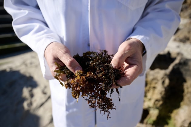 Uluu awarded $2.1 million in Australian Government funding