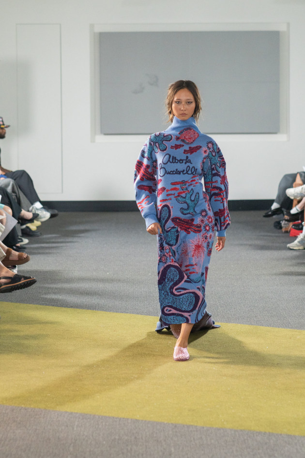 Student: Alberta Bucciarelli