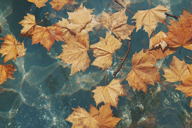 Vita Chien, Floating through the season