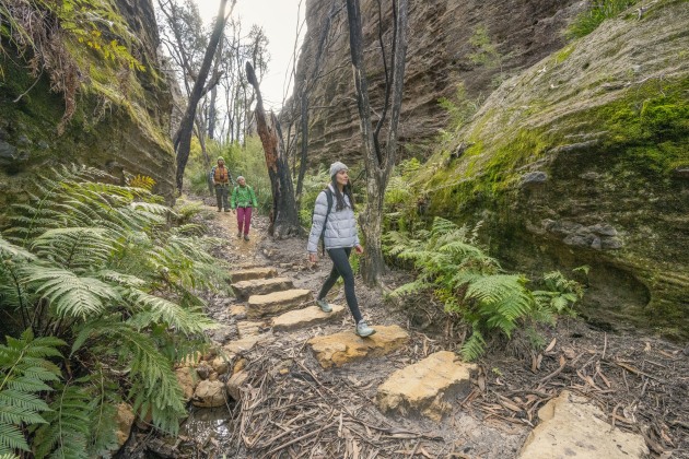 Walkers enjoy the new track. NPWS