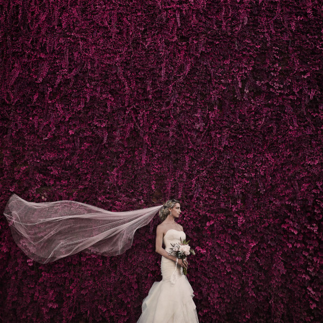 &copy; Steve Wise. Wedding category. The Annual 2017.