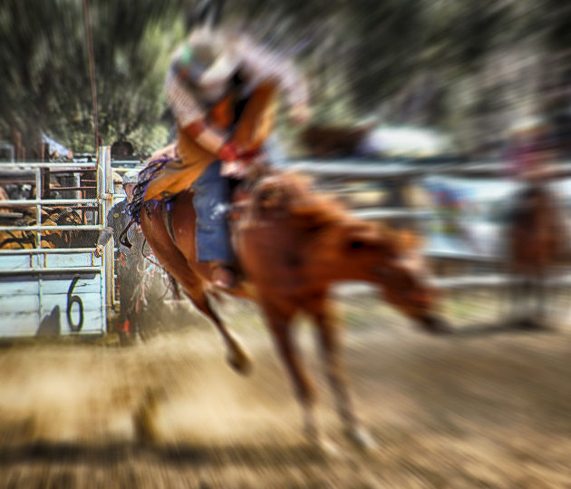 William Morrison, Number 6