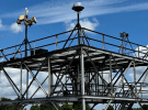 DroneShield's DroneSentry passes NPSA testing