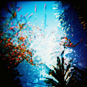 Plastic Passion: Revisiting lomo cameras in 2025 (Part two)