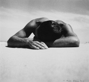Waves and Water exhibition to open this December