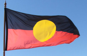 Defence contract for indigenous business