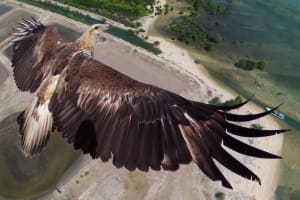 These aerial images will make you want to go and buy a drone