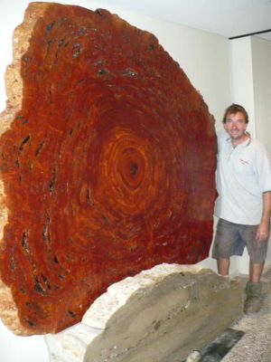 Showtime in Brisbane