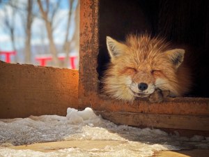 Winning images from the 2018 iPhone Photography awards