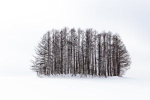 $30,000 Photographer of the Year 2020 opens for entries
