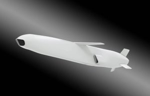 Australia seeks participation in Kongsberg's JSM