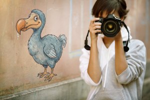 Has the DSLR gone the way of the Dodo?