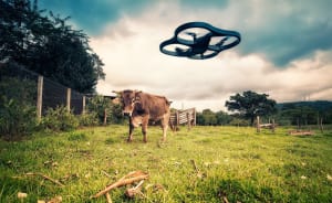 Drone complaints increase by a massive 1,221% in UK