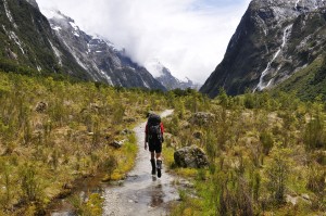 Bookings for NZ's 11 Great Walks opening 12 May