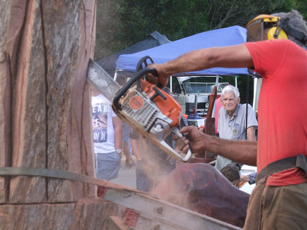 Maleny Expo&rsquo;s 20 Year Celebration