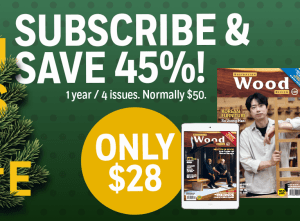 IT'S SALE TIME! Get our huge Xmas subscription offer now!
