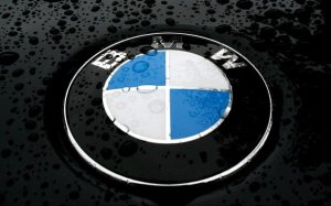 Kim Carr blasts protected bimmer buy