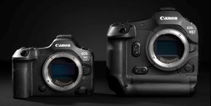 Canon releases major firmware updates for top tier EOS R cameras