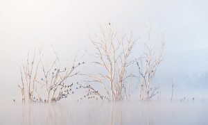 The Landscape Awards 2026: 5 less obvious tips for a strong entry