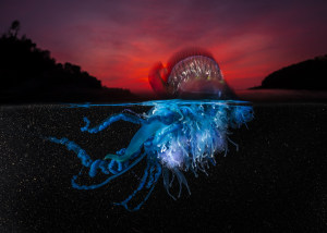 Coronavirus impacts local photography events