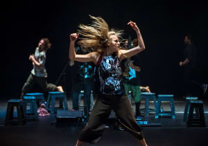 Asia TOPA: '6' and '8', Attractor