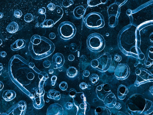 New book celebrates nature's stunning patterns