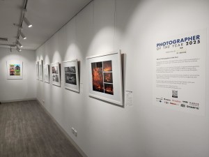 Our Photographer of the Year exhibition is now on in Sydney