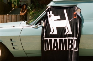 Mambo Surf De Luxe finds growth in pureplay model