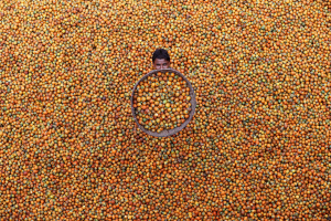 24 astounding images from the worldwide Siena Photo Awards