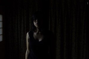 Exhibition: Pia Johnson's 'In a Dim Light...'