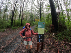 Experience the beauty of Northern NSW on the Gidjuum Gulganyi Walk