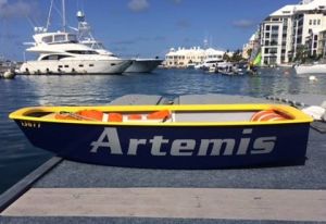 From little things big things grow