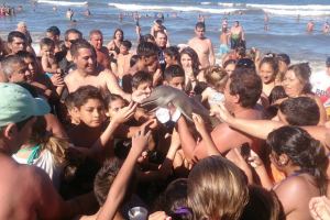 Selfies lead to death of endangered dolphin