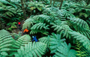 New photobook explores the beauty of NZ's mountain biking scene
