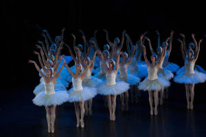 Queensland Ballet: Swan Lake
