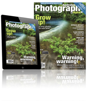 November AP Out Now!