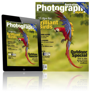 October AP Out Now!