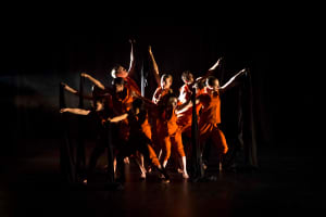 Australian Youth Dance Festival: Emergence