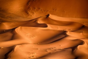 Sony Alpha Awards opens