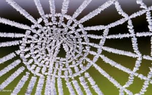 Time running out to enter BOM Weather Calendar comp 