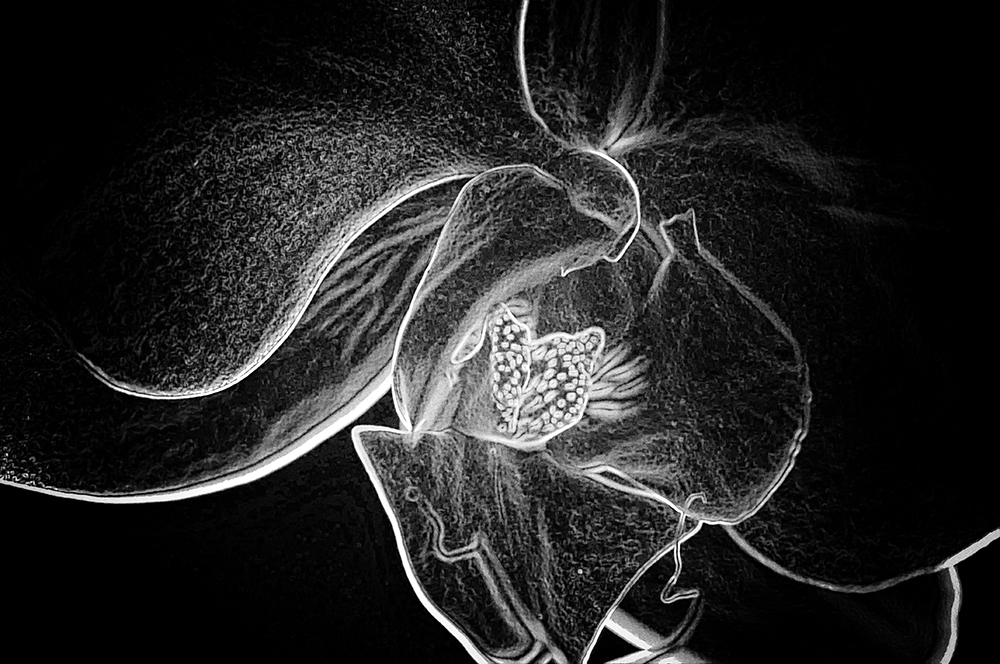 Photographer of the Year: Featured Portfolio #12