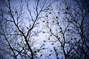 June 'Colour Blue' Photo Comp: People's Choice Voting Now Open
