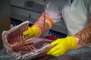 Dedicated meat processing forum covers latest tech advances