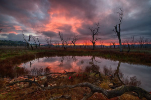 Photographer of the Year 2014: Featured Portfolio #4