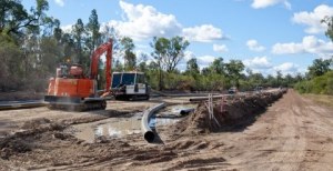 Queensland Forests Under Threat