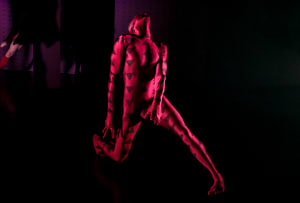Australian Dance Theatre: Objekt